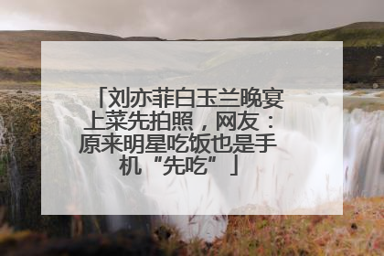 刘亦菲白玉兰晚宴上菜先拍照，网友：原来明星吃饭也是手机“先吃”