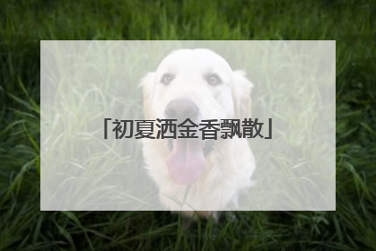 初夏洒金香飘散