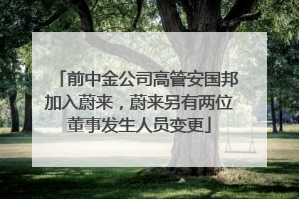 前中金公司高管安国邦加入蔚来，蔚来另有两位董事发生人员变更