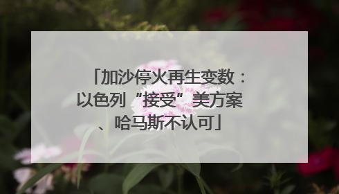 加沙停火再生变数：以色列“接受”美方案、哈马斯不认可