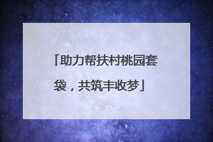 助力帮扶村桃园套袋，共筑丰收梦