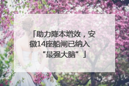助力降本增效，安徽14座船闸已纳入“最强大脑”