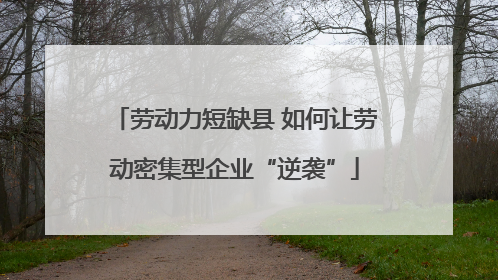 劳动力短缺县 如何让劳动密集型企业“逆袭”