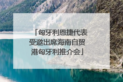 匈牙利恩捷代表受邀出席海南自贸港匈牙利推介会