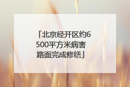北京经开区约6500平方米病害路面完成修缮