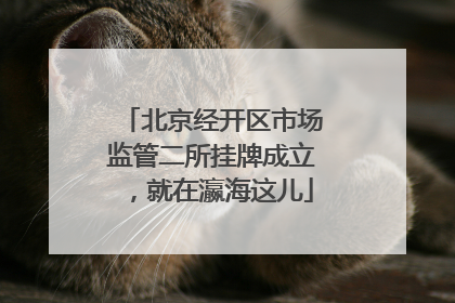 北京经开区市场监管二所挂牌成立，就在瀛海这儿