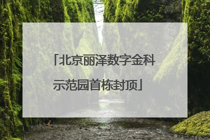 北京丽泽数字金科示范园首栋封顶