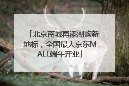 北京南城再添潮购新地标，全国最大京东MALL端午开业