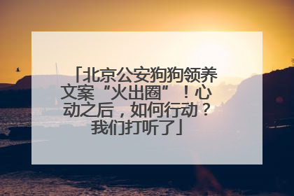 北京公安狗狗领养文案“火出圈”！心动之后，如何行动？我们打听了