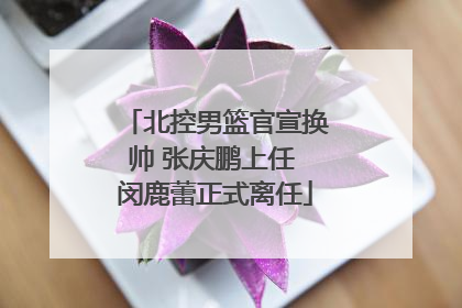 北控男篮官宣换帅 张庆鹏上任 闵鹿蕾正式离任