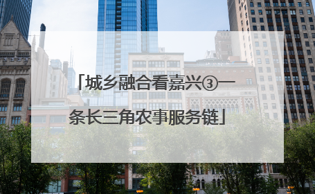 城乡融合看嘉兴③一条长三角农事服务链