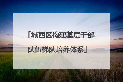 城西区构建基层干部队伍梯队培养体系