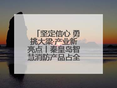 坚定信心 勇挑大梁·产业新亮点丨秦皇岛智慧消防产品占全国市场超四成
