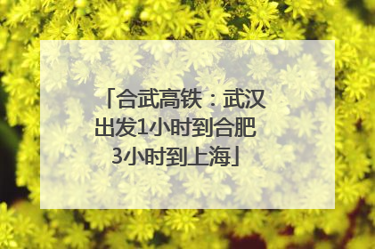 合武高铁：武汉出发1小时到合肥3小时到上海