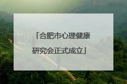合肥市心理健康研究会正式成立