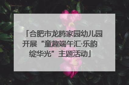 合肥市龙腾家园幼儿园开展“童趣端午汇·乐韵绽华光”主题活动