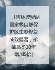 吉林波罗湖国家级自然保护区生态修复成效显著，珍稀鸟类10年增加5倍