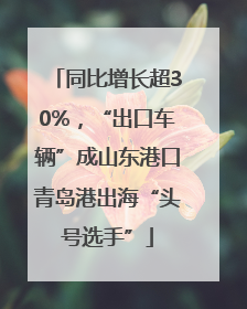 同比增长超30%，“出口车辆”成山东港口青岛港出海“头号选手”