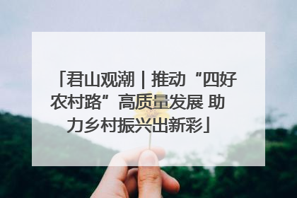 君山观潮｜推动“四好农村路”高质量发展 助力乡村振兴出新彩