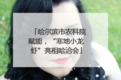 哈尔滨市农科院赋能，“寒地小龙虾”亮相哈洽会
