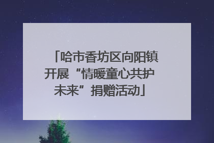 哈市香坊区向阳镇开展“情暖童心共护未来”捐赠活动
