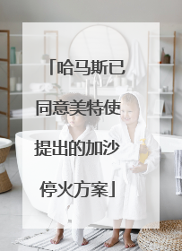 哈马斯已同意美特使提出的加沙停火方案