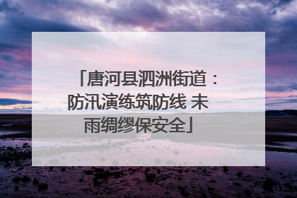 唐河县泗洲街道：防汛演练筑防线 未雨绸缪保安全