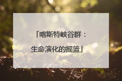喀斯特峡谷群：生命演化的摇篮