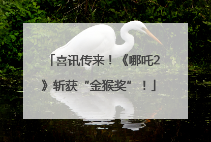 喜讯传来！《哪吒2》斩获“金猴奖”！