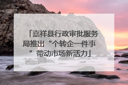 嘉祥县行政审批服务局推出“个转企一件事”带动市场新活力