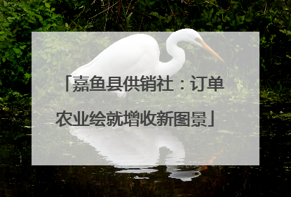 嘉鱼县供销社：订单农业绘就增收新图景