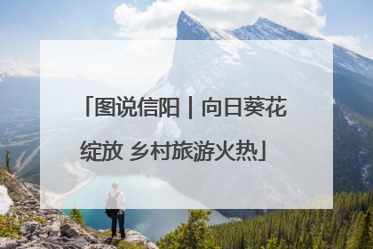 图说信阳｜向日葵花绽放 乡村旅游火热