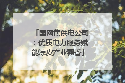 国网焦供电公司：优质电力服务赋能凉皮产业飘香