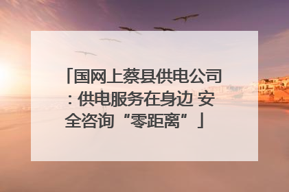国网上蔡县供电公司：供电服务在身边 安全咨询“零距离”