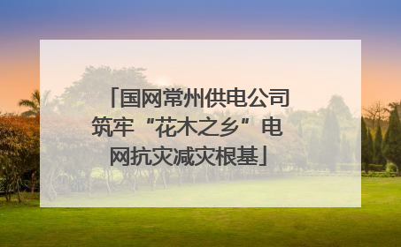 国网常州供电公司筑牢“花木之乡”电网抗灾减灾根基