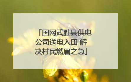 国网武胜县供电公司送电入田 解决村民燃眉之急