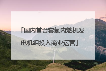 国内首台套氢内燃机发电机组投入商业运营