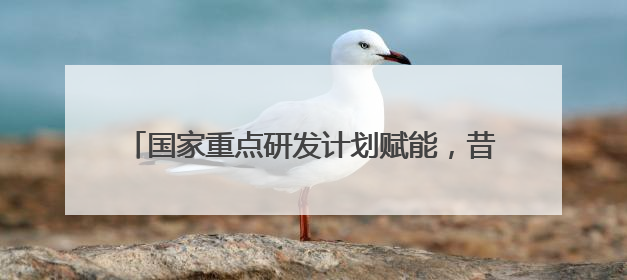 国家重点研发计划赋能，昔日盐碱滩今变“高产田”