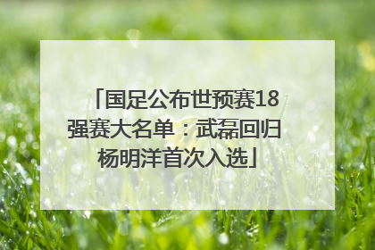 国足公布世预赛18强赛大名单：武磊回归 杨明洋首次入选