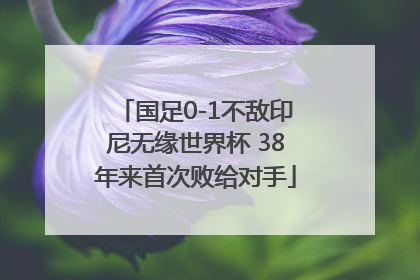 国足0-1不敌印尼无缘世界杯 38年来首次败给对手