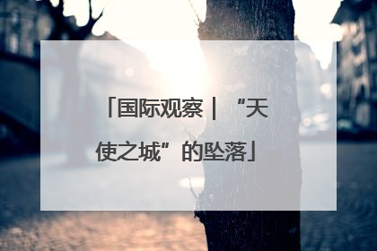 国际观察｜“天使之城”的坠落