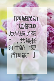 四城联动“送你10万朵栀子花”，共绘长江中游“夏香图景”