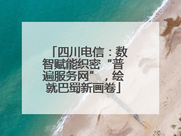 四川电信：数智赋能织密“普遍服务网”，绘就巴蜀新画卷