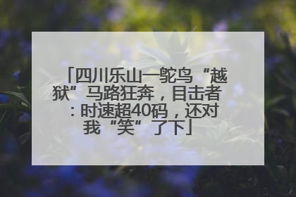 四川乐山一鸵鸟“越狱”马路狂奔，目击者：时速超40码，还对我“笑”了下