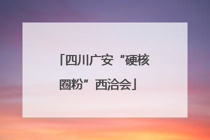 四川广安“硬核圈粉”西洽会