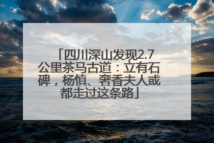 四川深山发现2.7公里茶马古道：立有石碑，杨慎、奢香夫人或都走过这条路