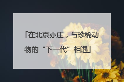 在北京亦庄，与珍稀动物的“下一代”相遇