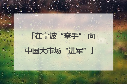 在宁波“牵手” 向中国大市场“进军”
