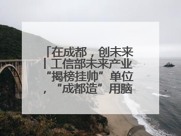 在成都，创未来丨工信部未来产业“揭榜挂帅”单位，“成都造”用脑机接口技术造福孤独症儿童
