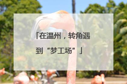 在温州，转角遇到“梦工场”